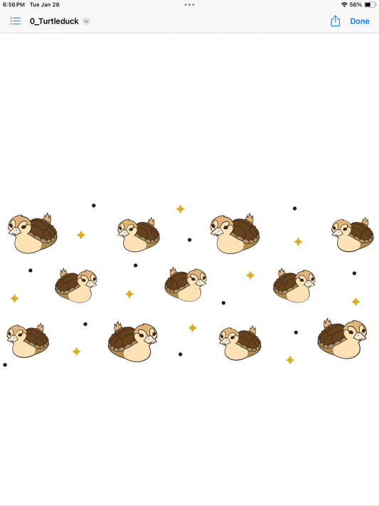 ATLA turtle duck cup